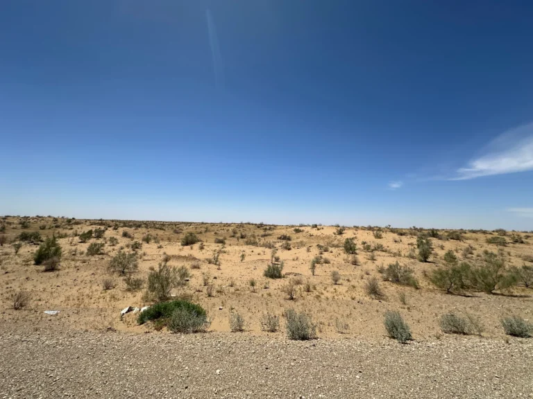 006d1522 8224 473f a273 976ad762b207