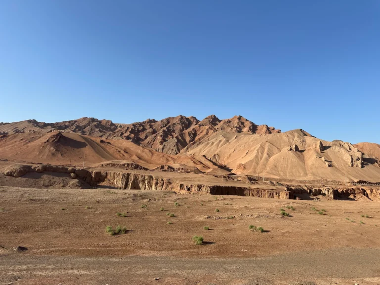 01294978 1db0 4085 b089 f2175dfd1955