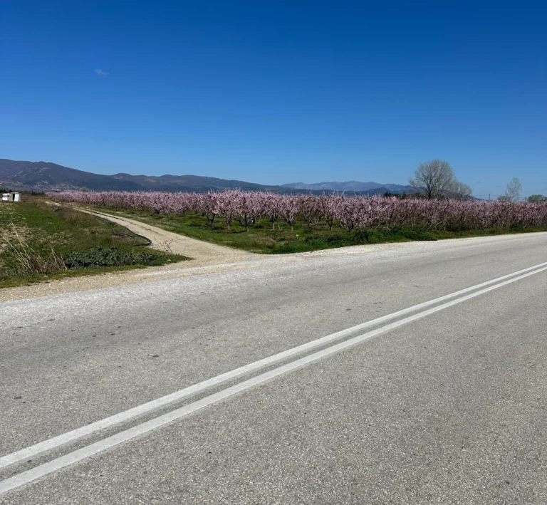 Blog Tag 027 016b5df7 9e2c 437a b88d 6762c0c028e3