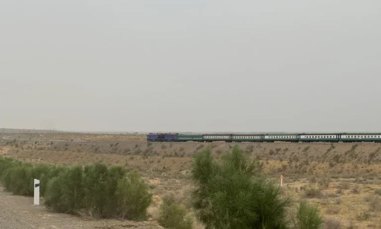 028f1c9a 4ef1 4e81 b2fc 3e6dd145c145