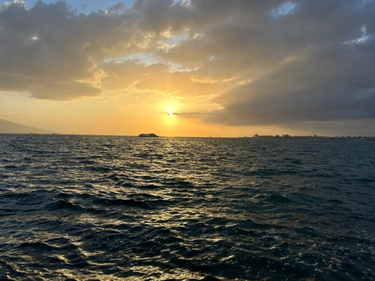 02ccbed9 26b6 48ed 8f7c b6f6f7a7e447