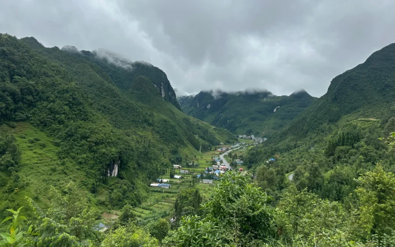 08183cc2 de78 475e 816e 20d184177582