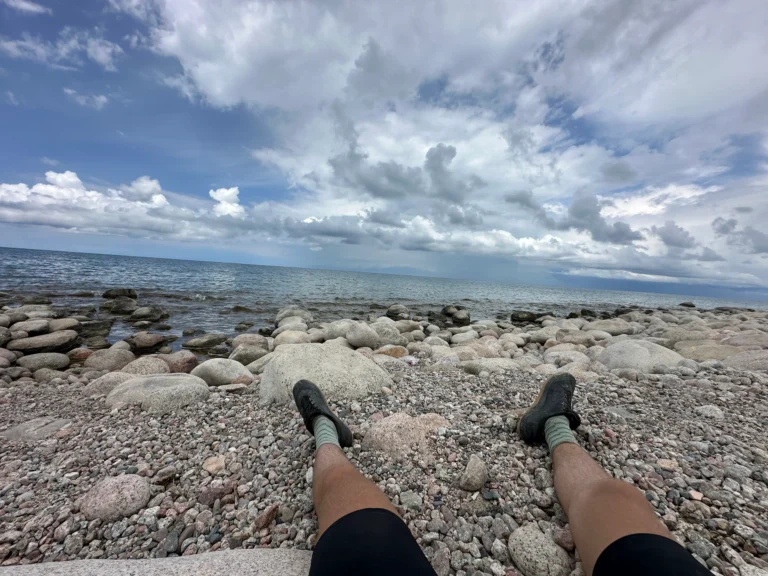 089ffc34 a8eb 41d0 8de1 26203dc1a899