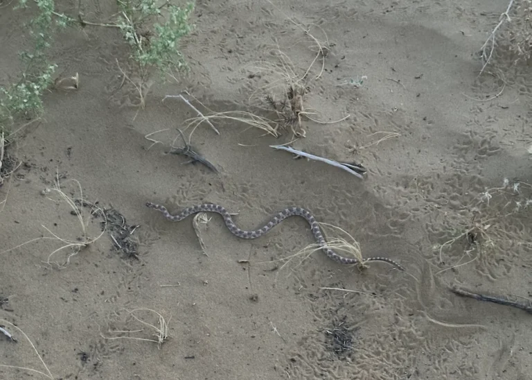 09081452 1d87 42be ac4f de2a24e24680