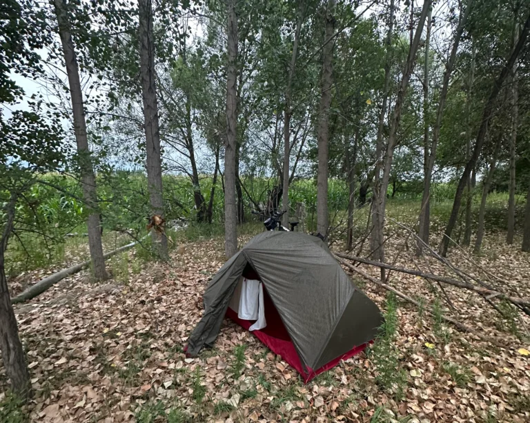 0aa046aa 08ce 4d66 8cbc babfea3598fe