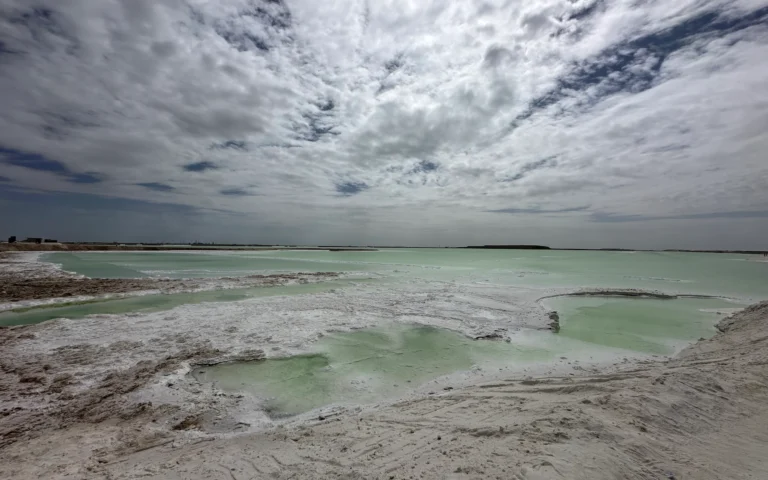 Blog Tag 147 0b1ed904 38d8 4a8b a1fd 63e8657d5e54