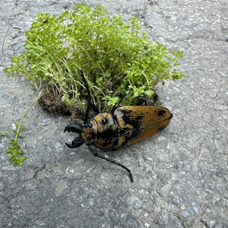 Blog Tag 192 0b6bb8e9 95b6 4bee aa96 28f0adf186fc