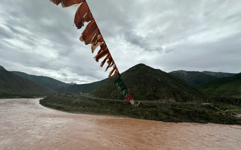 Blog Tag 155 0b82d2ef 5983 4e3a 9607 2db587d88130