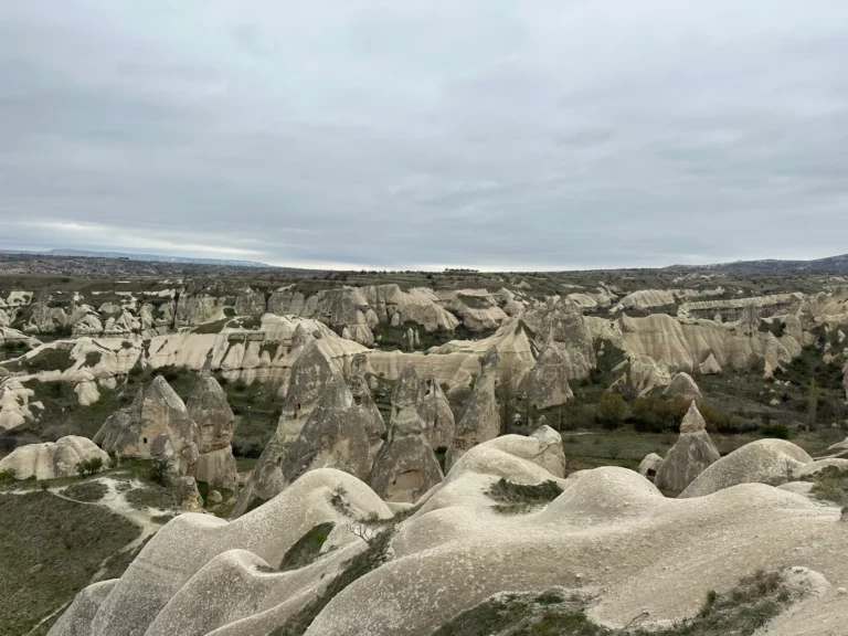 0be5e6cc bf00 4c93 b4c6 5c9285ddf2b4