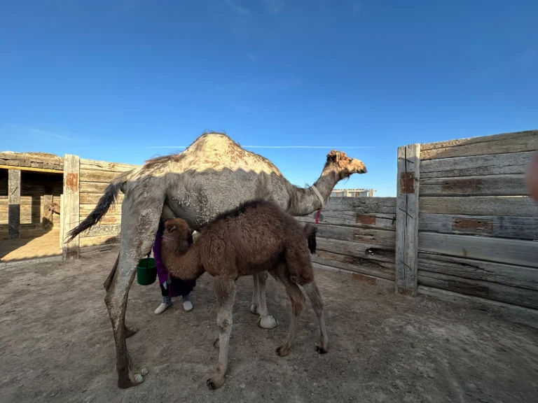 0c9fa2bb 97df 4096 8a11 6abaeb097931