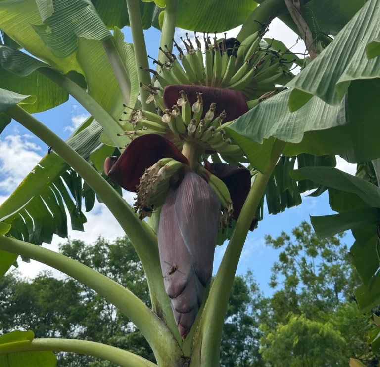 0cd9dbe7 a04b 4add 8843 fa6848928510