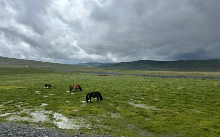 Blog Tag 151 0d9b4d98 4729 48c5 90fa 541af2d8dc49