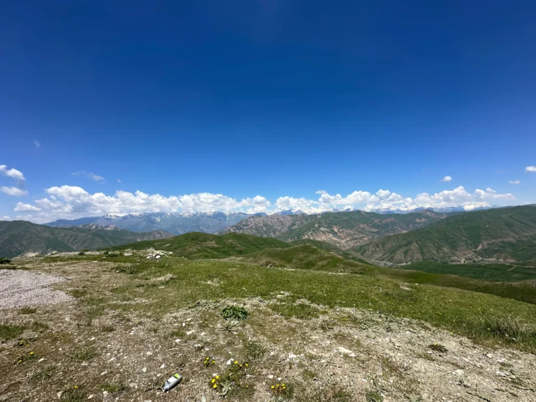 0e313a51 6c89 4eb6 ba54 e476340f06f1