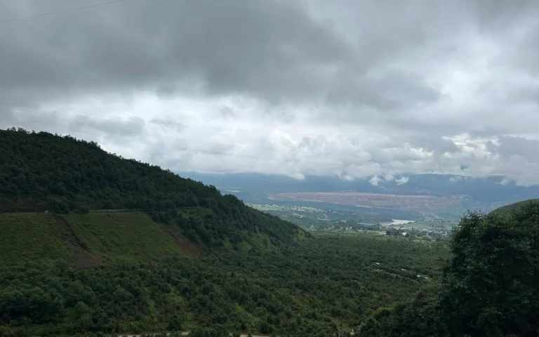 0e80ee16 6889 402b a851 a5d29b628936