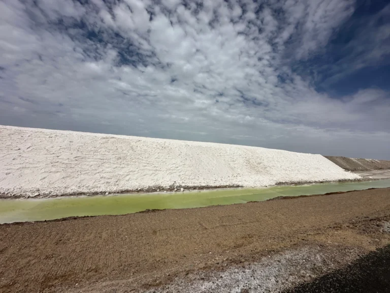 Blog Tag 147 0ea39a5a a0b3 4ac0 963b 0b345bef2840