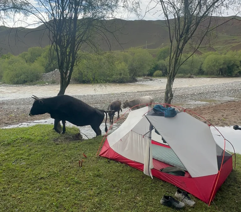 10b95b05 1bac 4119 9f97 7e73f449d999