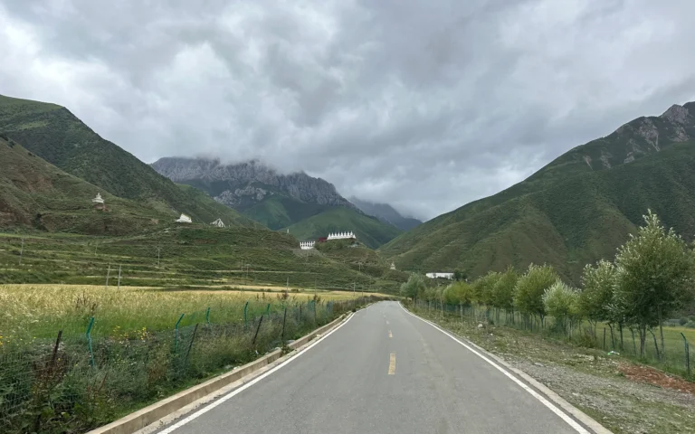 12317640 2f95 4c87 95e6 acb5f5158ad8