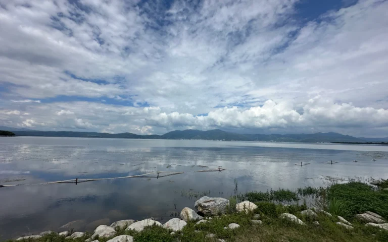 13a6a2d3 0e86 4ef1 b5ef 0dd72fa1c248