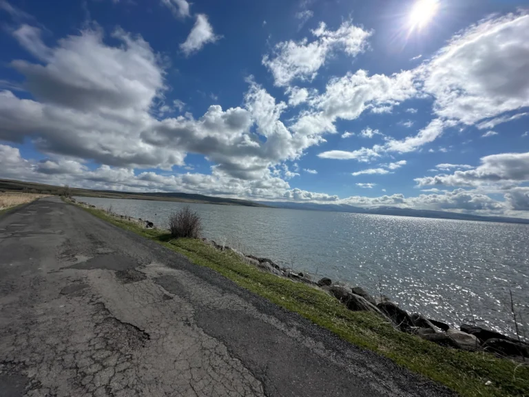 1905d1f4 5a6d 4101 85f1 38fdbea6e808