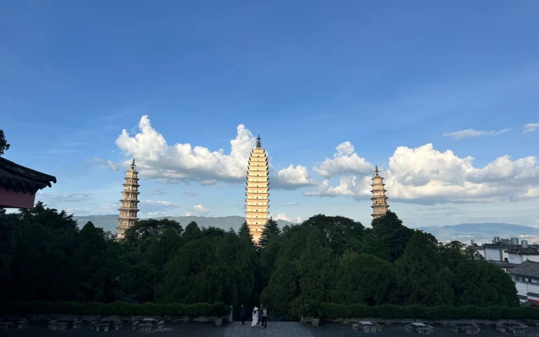 197eac7b 789c 422b 8c56 b81cc8ff8984