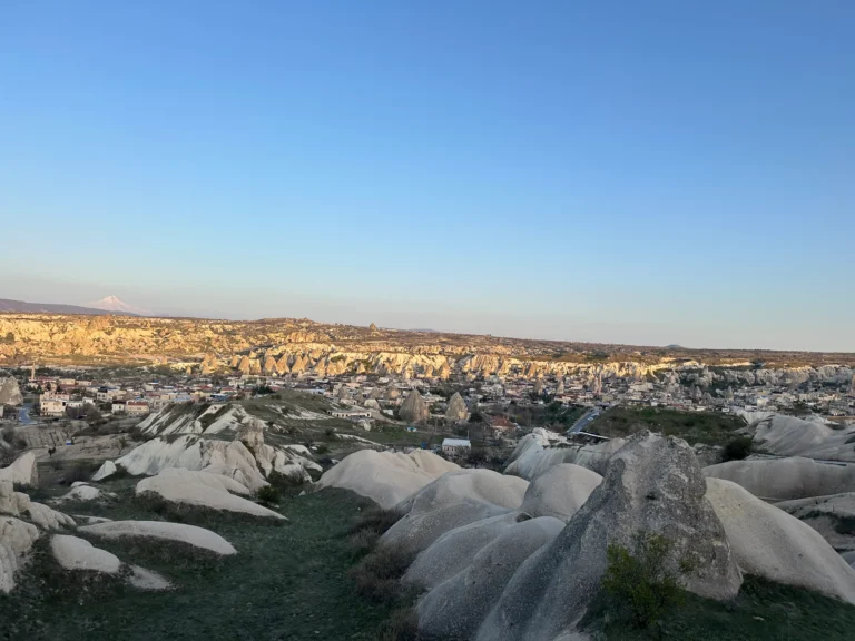 1c88de65 748c 4fee 9e73 491d029bd139