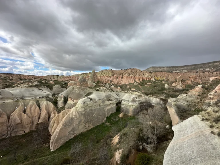 1d77ff6d 3d58 42b4 b1fe 29e49c016aff