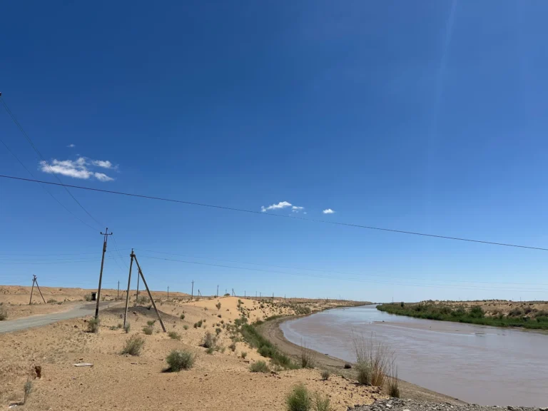 1d806d6b 0028 4b60 80f0 43ef86a6cdf1