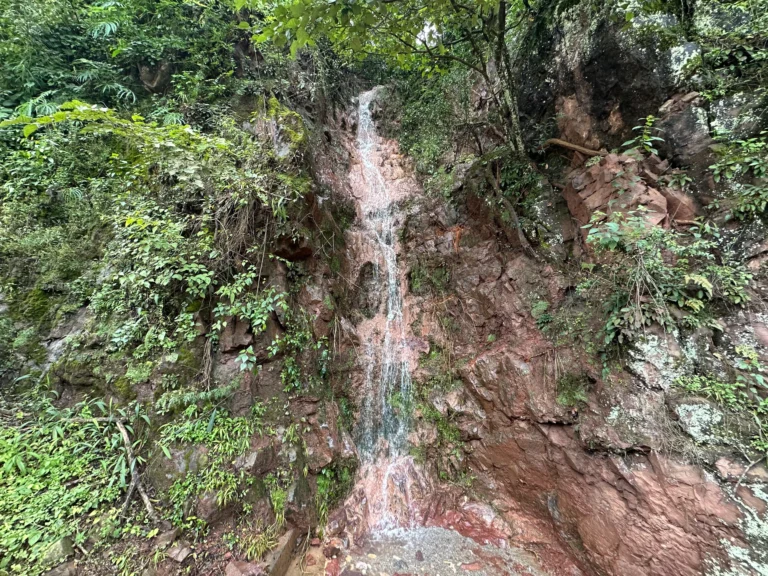 1dff1f56 a59c 438b 8745 90d3f76e6cdc