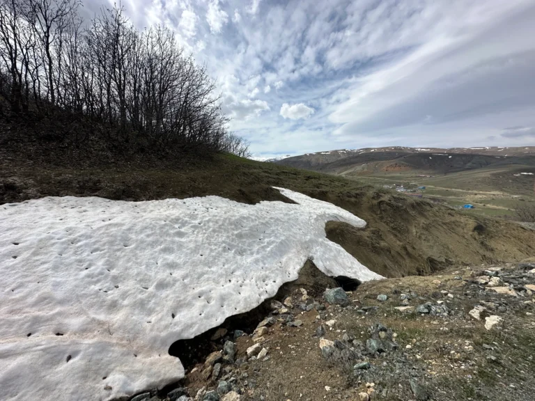 20caa071 49f6 4d0b be4a f2f2e5089c59