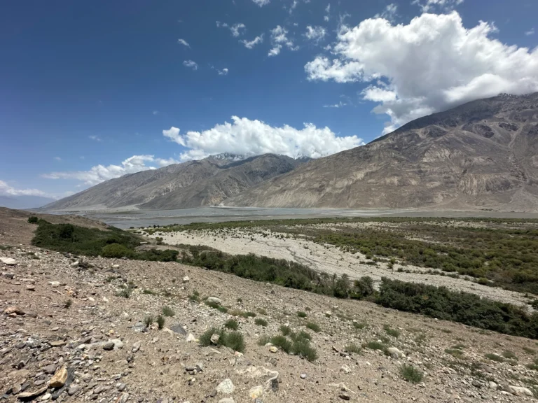 2102c41d 9ed9 4f64 bdce 7620f285b32e