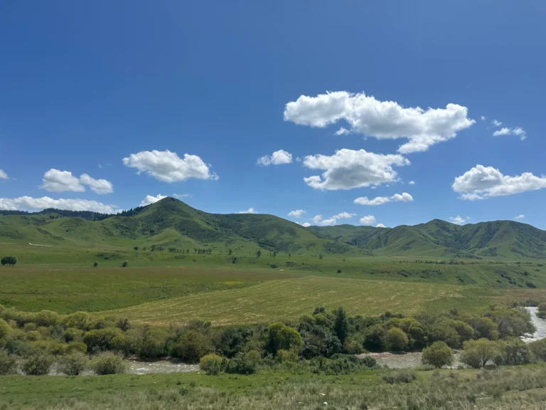 27efee8d 94e7 4431 98cf d0584daa8f9b