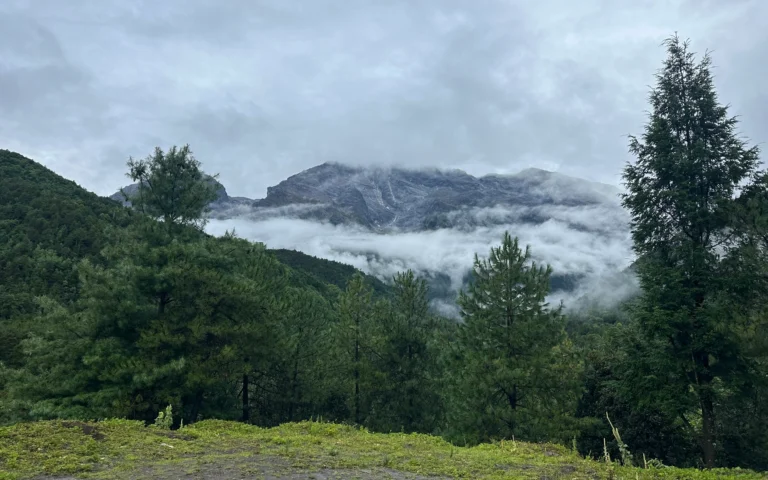 280d3427 879a 4bc8 b383 054797fa7393