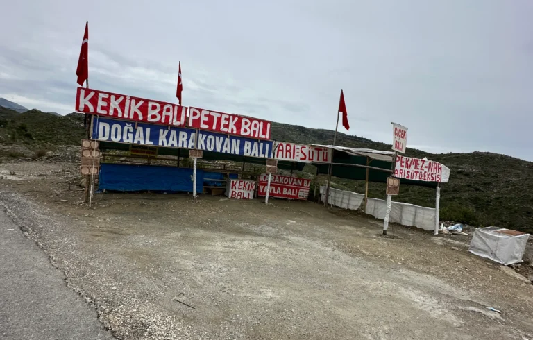 2a3f8cd1 d6c0 46d4 980f d336500f0848