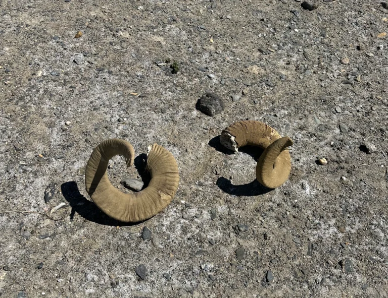 Blog Tag 111 2a8f2485 f9ec 485b 9d20 f1b061500124