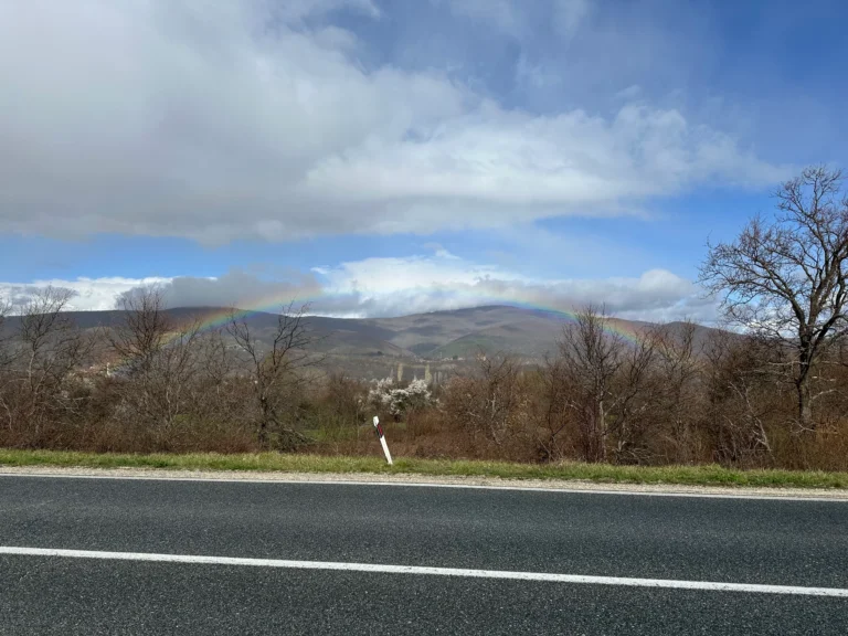 2e8ff11b ec76 4a0a b803 f88c41aef2d5