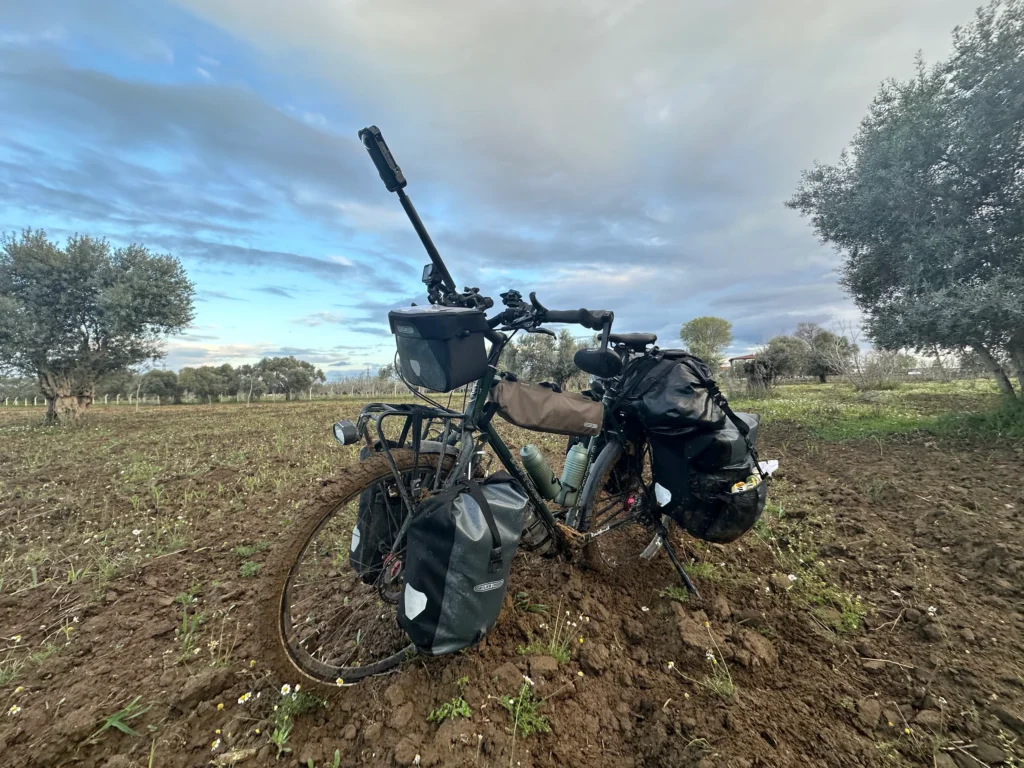 2ed0f6b4 7a8a 407f a345 6be1c681d31d