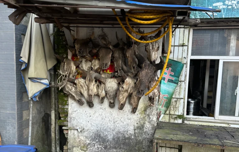 2fb44162 c41e 4bbe ba0a 7dcabff0ef60