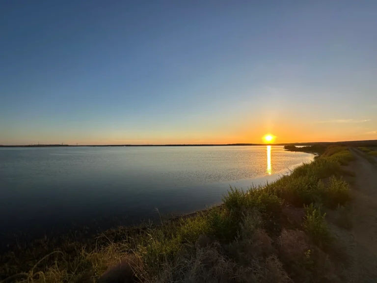 32ddfb79 f2ae 451d 8706 650c730170ea