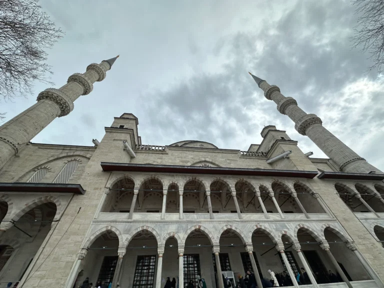 33641653 56ff 4478 be92 8acdc41e1ba6