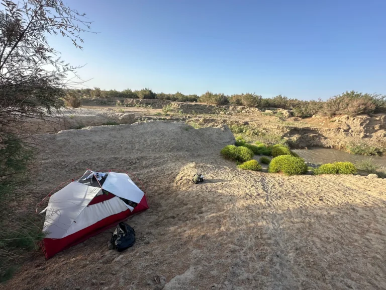 340f4e8f e985 4335 88bd 2205fb8a820d