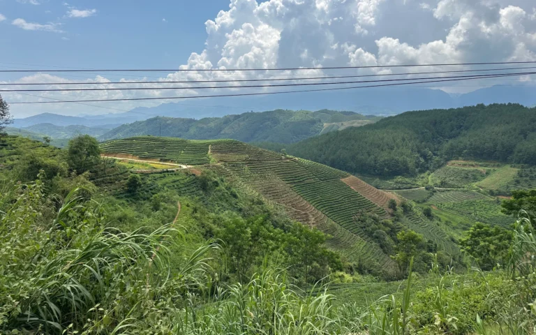 356d3716 53ed 4cef 9440 62c24e2b08a4