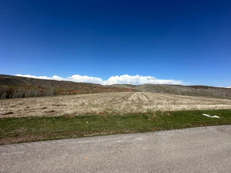 359e7f8f 5907 4885 86e6 ee511eec1392