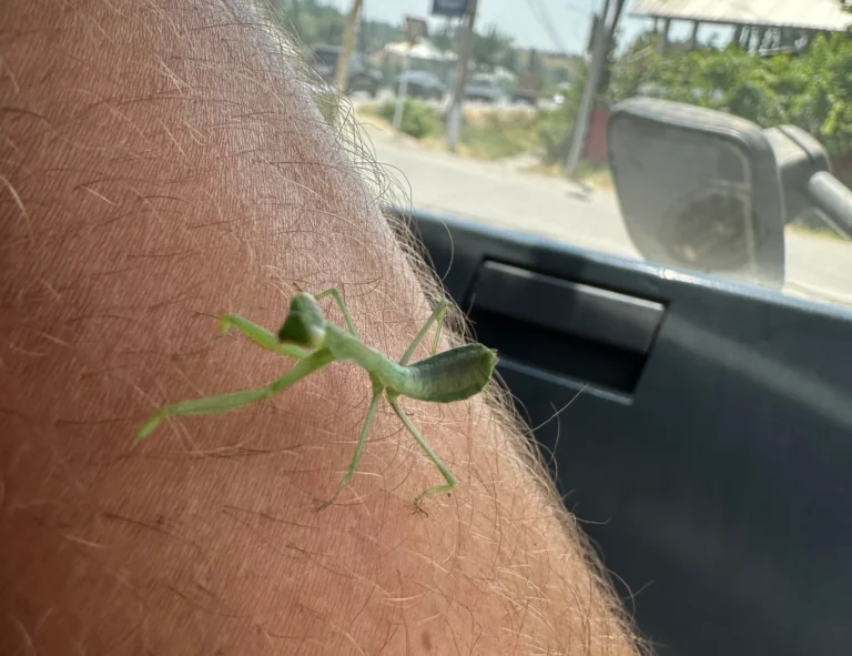 3a113314 66c8 4c45 b594 37c0e22ef6a3