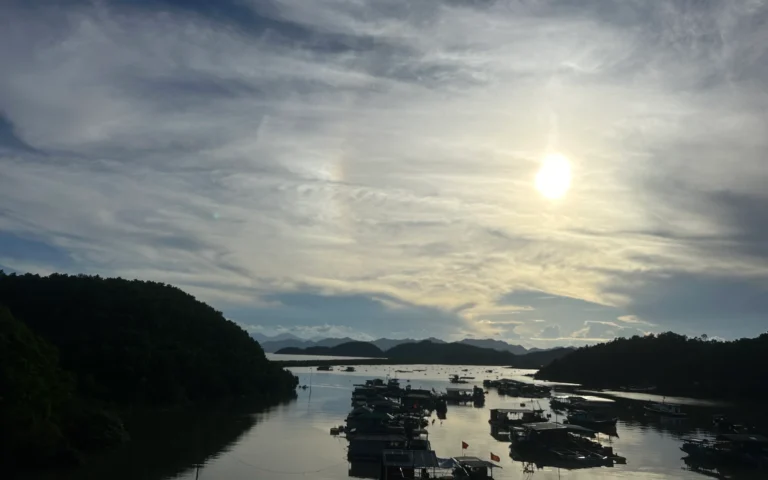 3b495974 bc78 4294 bfee a17838be5885