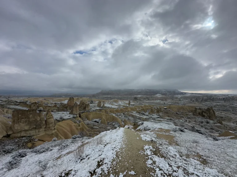 3dc8e8a0 fd58 44a5 bed6 a46c65423b66