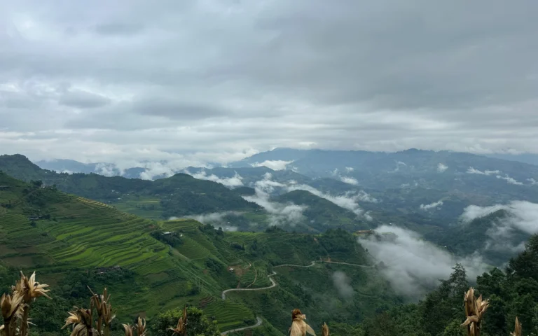 3e97b754 6f54 4887 be1b 19fcba9eff49