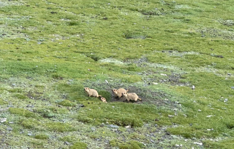 Blog Tag 151 40236cee b2dc 4ba4 a3e1 1c0b81719a48