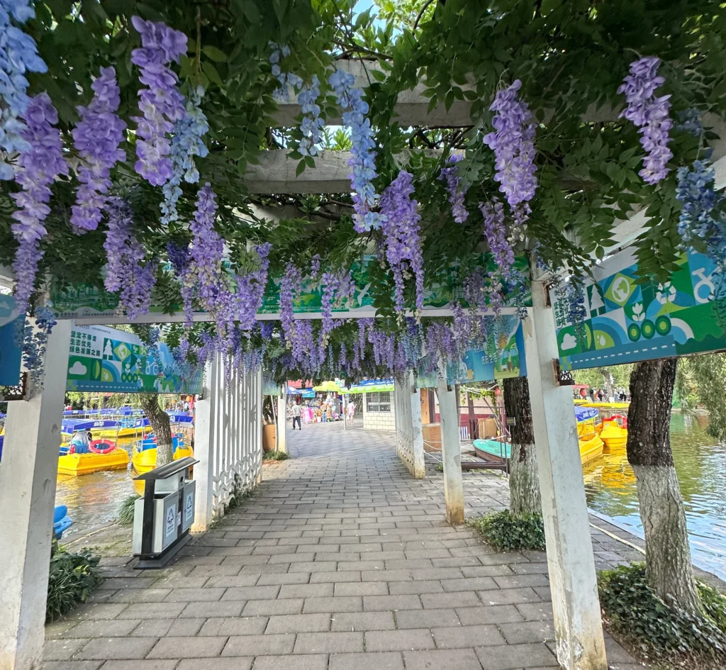 42d679ec 320c 4f0d a59b 87a2dfb6871c