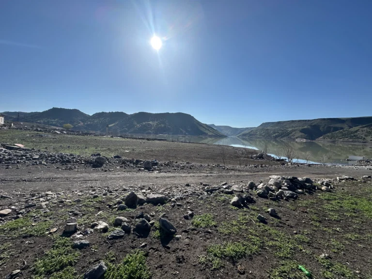 4a67c6e3 c232 46bc 8453 1ba3842639e5