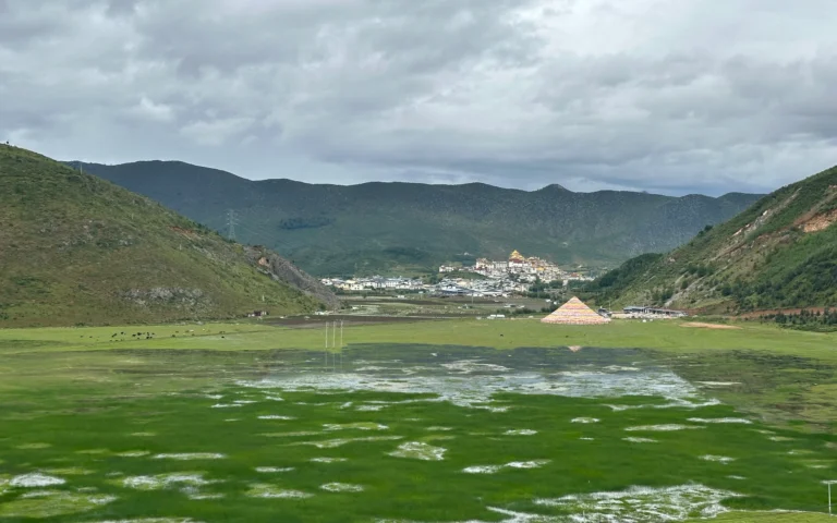 4c21e399 30f5 45bc 99e0 7fdaa8fc8eab